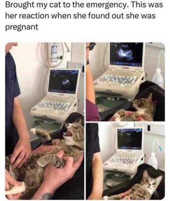 1771178128152.jpeg