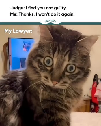 1771261633657.jpeg
