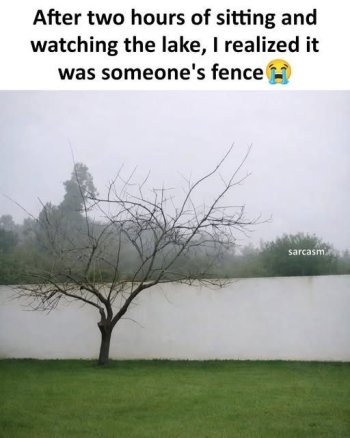 1771377122111.jpeg