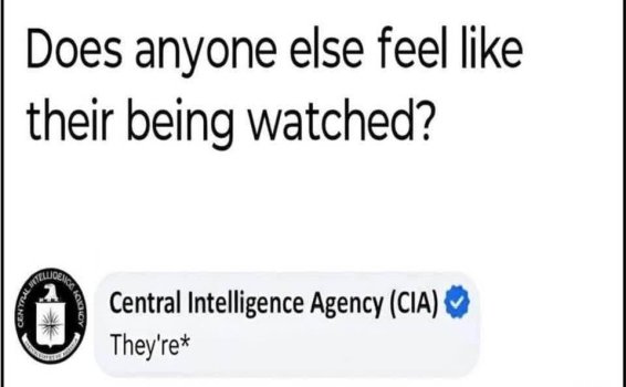 1771508069611.jpeg