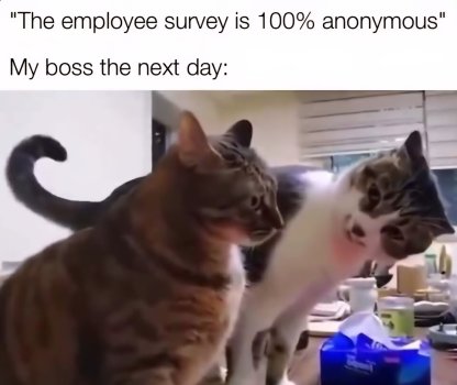 1771564505355.jpeg