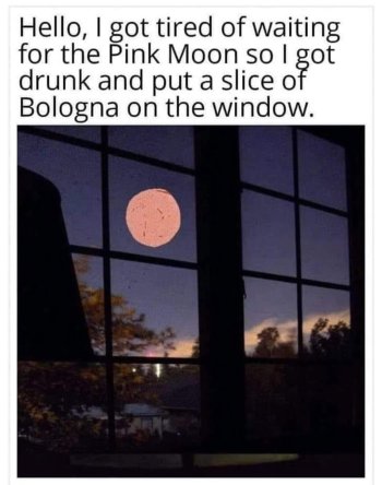 1771564851531.jpeg