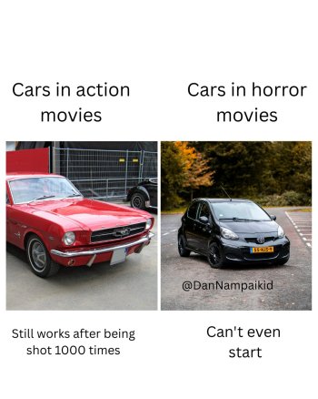 1771594072698.jpeg