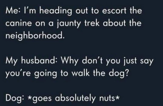 1771677196472.jpeg