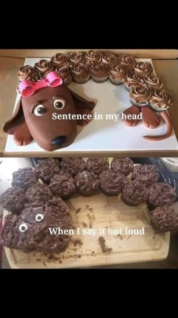 1771686388393.jpeg