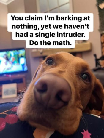 e65.jpg