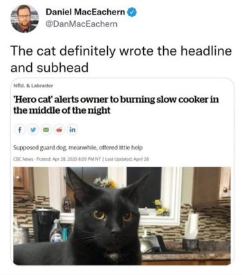 1771768959854.jpeg