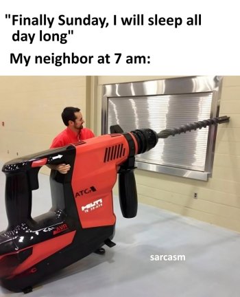 1771799517339.jpeg