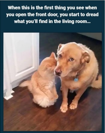 1771816578974.jpeg