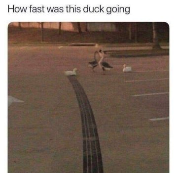 1771819673028.jpeg