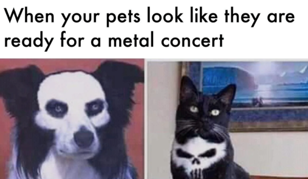 1771875597547.png