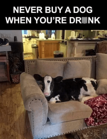 1771875689519.png