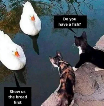 1771875753830.png