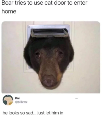 1771875838218.png