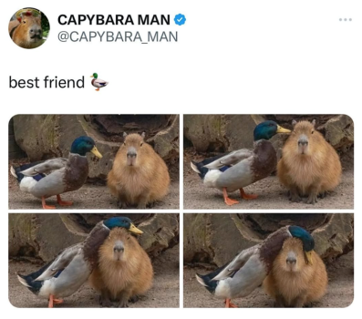 1771875908197.png
