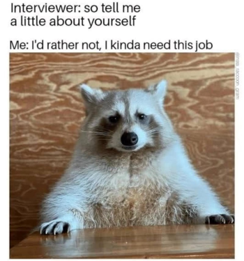 1771889179874.png