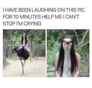1771889264758.png