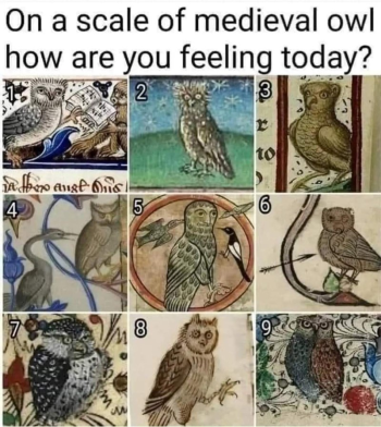 1771895317619.png