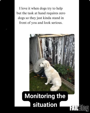 1772024241616.jpeg
