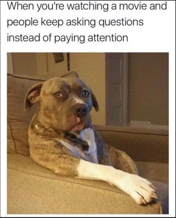 1772166010498.jpeg