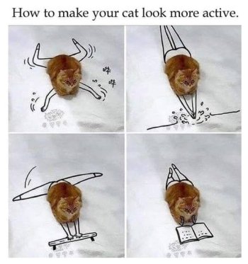 1772192608187.jpeg
