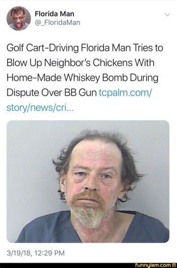 1772245879472.jpeg