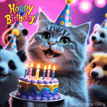 1772314528275.gif