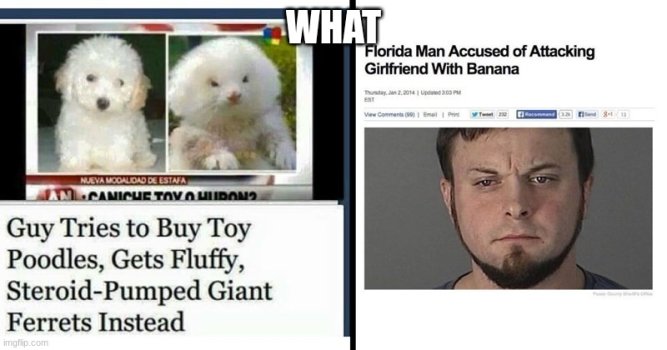 1772352716920.jpeg