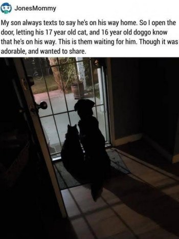 1772549397751.jpeg