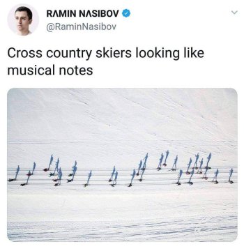 1772559393003.jpeg