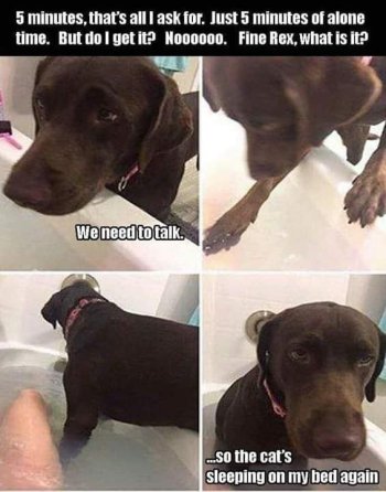 1772647362479.jpeg