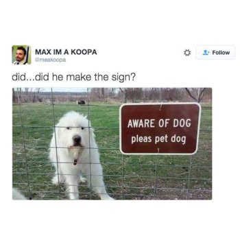 1772657962146.jpeg