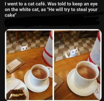 1772755848495.jpeg
