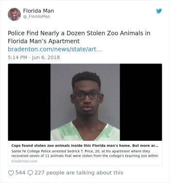 1772956207049.jpeg