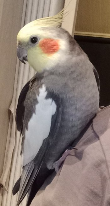 20240101_174432.jpg