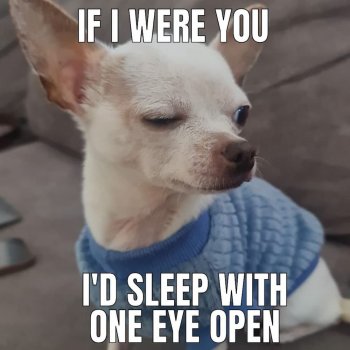 1773126126408.jpeg