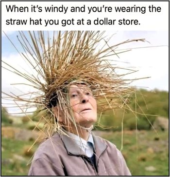1773146552038.jpeg