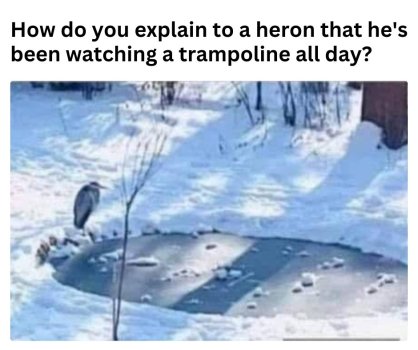 1773259015110.jpeg
