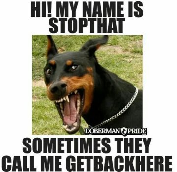 1773313408346.jpeg
