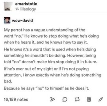 1773323993961.jpeg