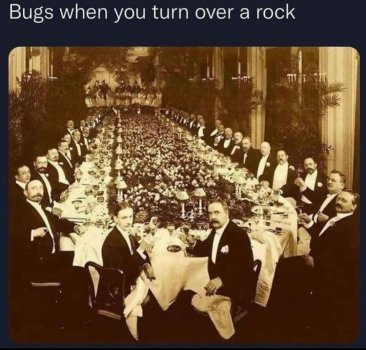 1773337044812.jpeg