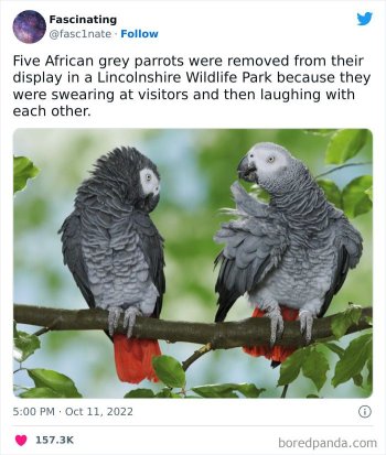 1773353886449.jpeg