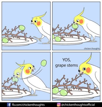 images-4.jpeg