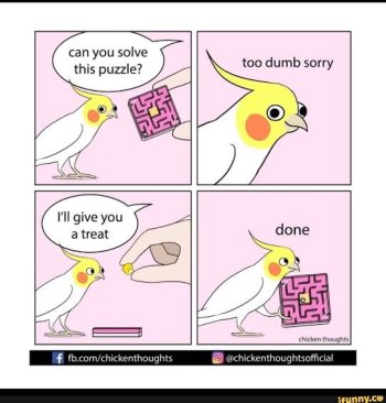 imagefhjfs.jpeg-1.jpg
