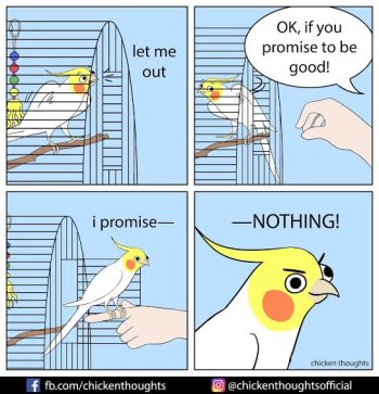 imagfgches.jpeg-1.jpg