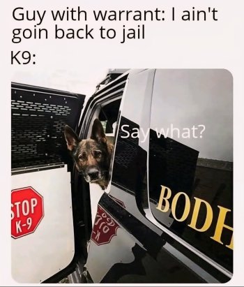 1773501471344.jpeg
