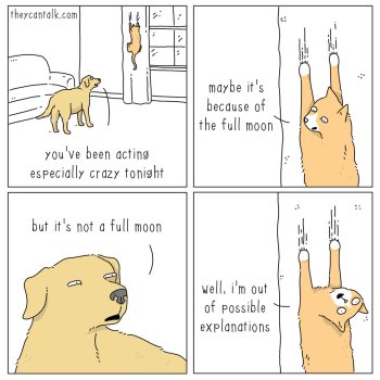 1773660751884.jpeg