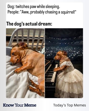 1773661334809.jpeg