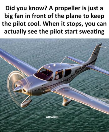 1773797787194.jpeg