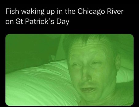 1773798550843.jpeg